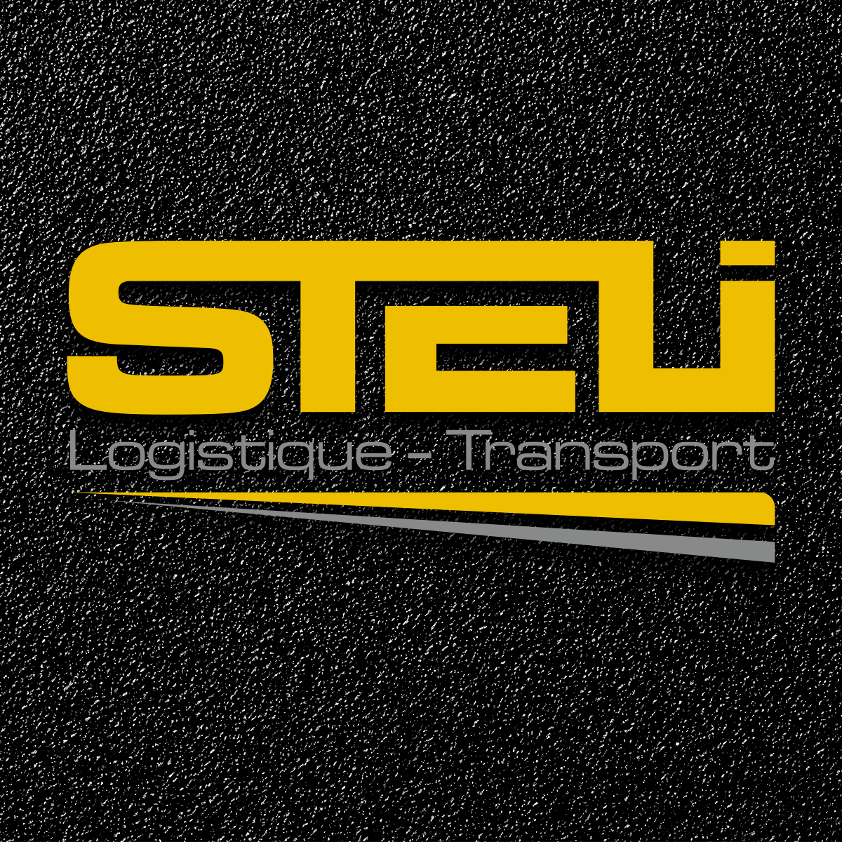 Logo Steli Logistique Transport